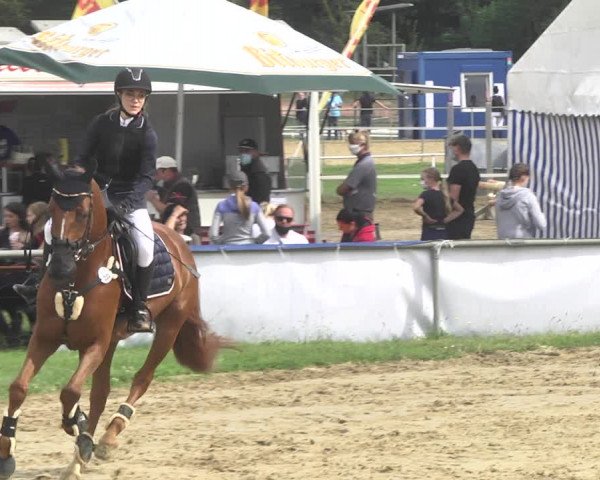Reitturnier Heiligenwald 2020