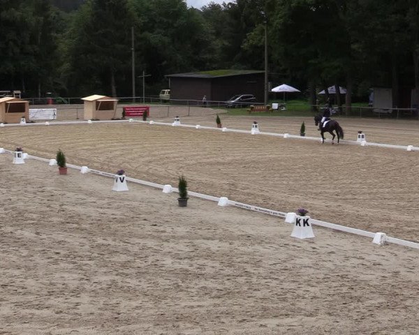 Reitturnier Neunkirchen-Salchendorf 2020