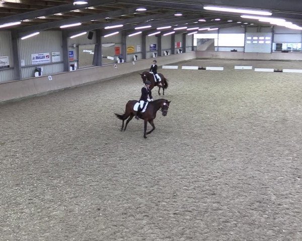 Reitturnier Ahaus 2020