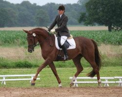 broodmare Fräulein Smilla T (Westphalian, 2004, from Fidermark)