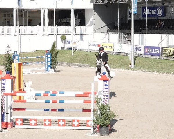 Reitturnier Humlikon 2020
