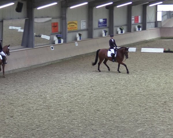 Reitturnier Ahaus 2020