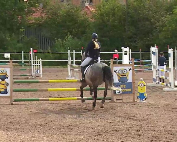 Reitturnier Demantsfürth/Mfr. 2020