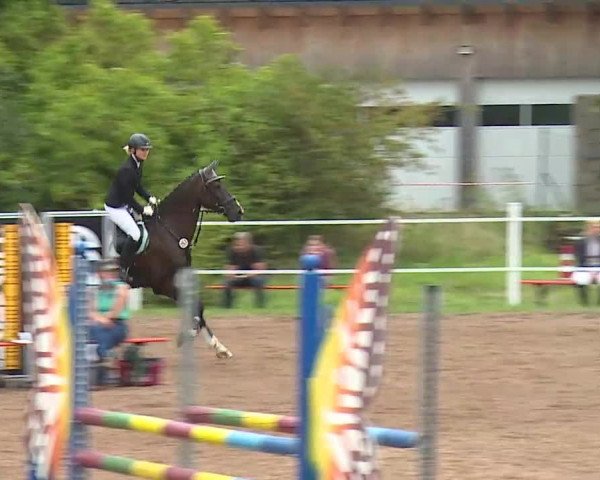 Reitturnier Demantsfürth/Mfr. 2020