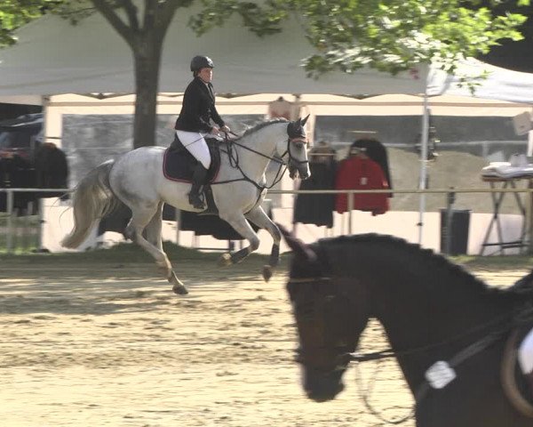 Reitturnier Heiligenwald 2020