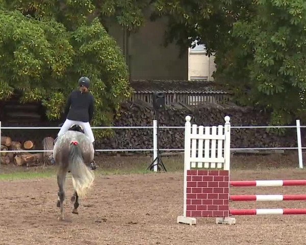 Reitturnier Demantsfürth/Mfr. 2020