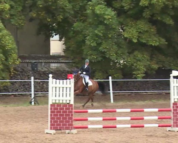 Reitturnier Demantsfürth/Mfr. 2020