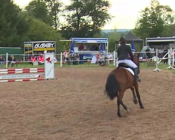 Reitturnier Demantsfürth/Mfr. 2020