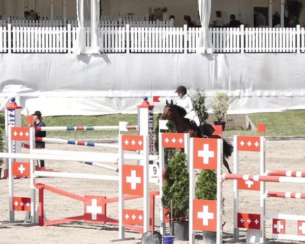 Reitturnier Humlikon 2020