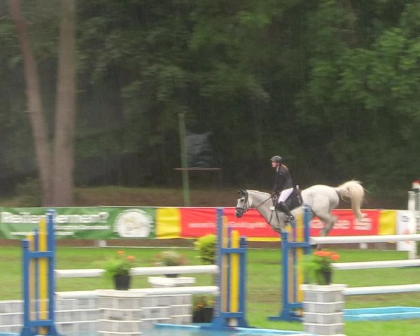Reitturnier Pasewalk 2020