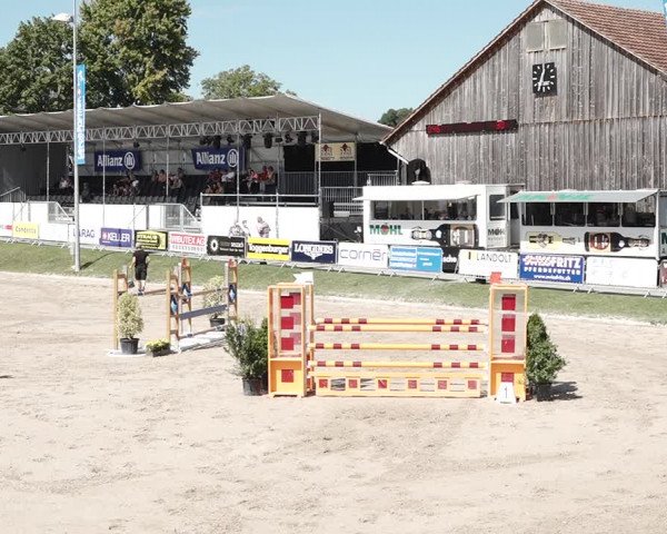 Reitturnier Humlikon 2020