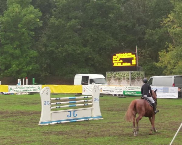 Reitturnier Pasewalk 2020