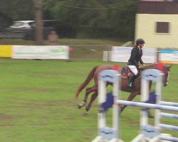 Reitturnier Pasewalk 2020