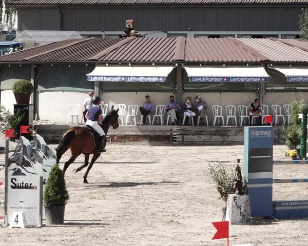 Reitturnier Humlikon 2020