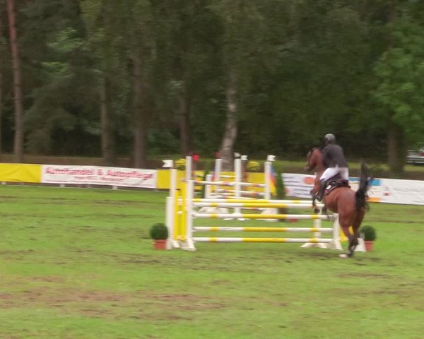 Reitturnier Pasewalk 2020