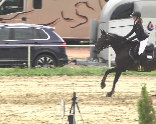 Reitturnier Heiligenwald 2020