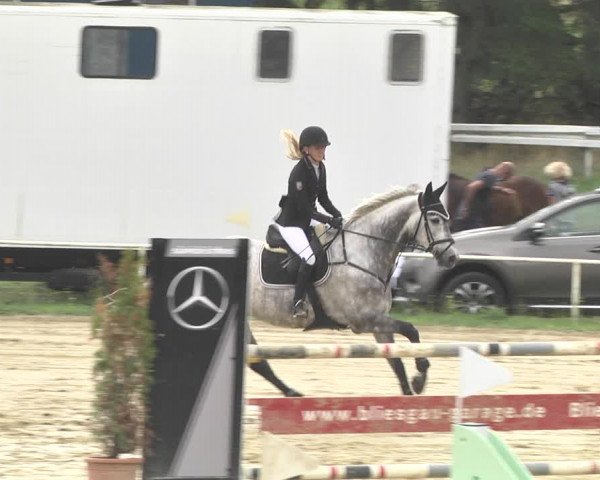 Reitturnier Heiligenwald 2020