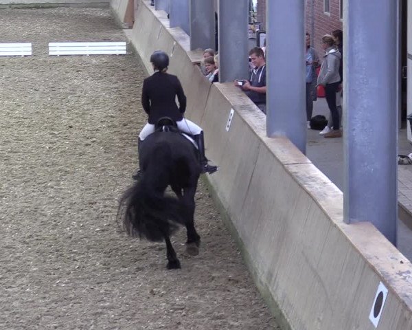 Reitturnier Ahaus 2020