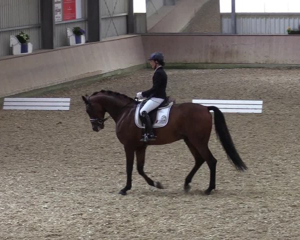 Reitturnier Ahaus 2020