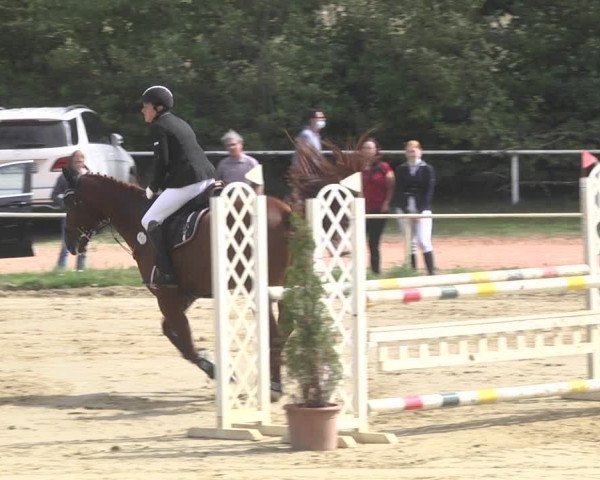 Reitturnier Heiligenwald 2020