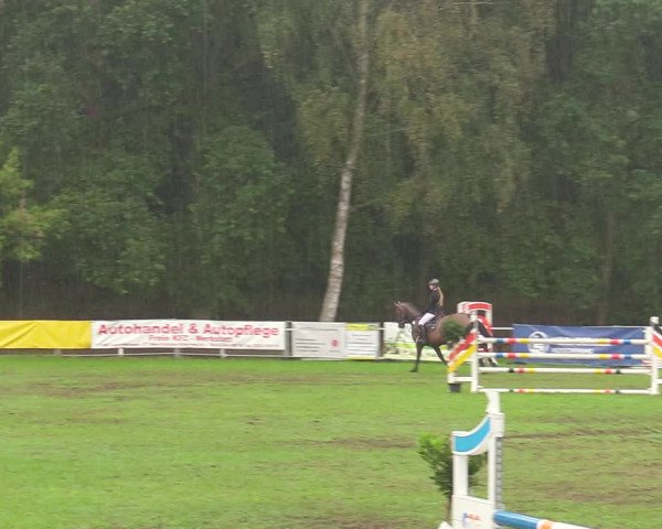 Reitturnier Pasewalk 2020