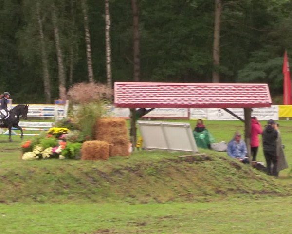Reitturnier Pasewalk 2020