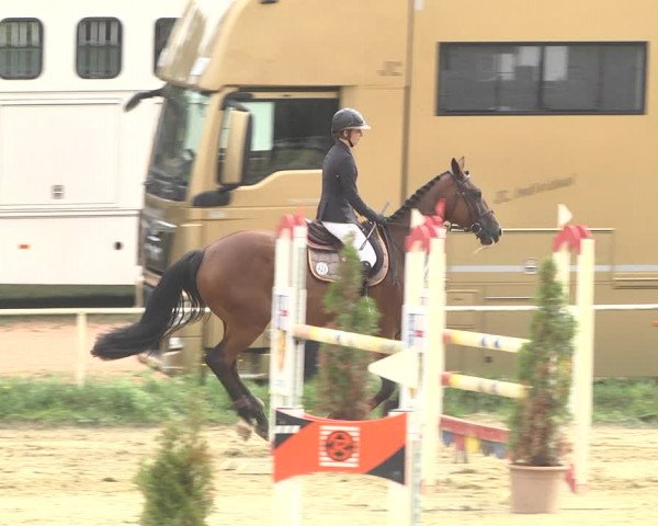 Reitturnier Heiligenwald 2020