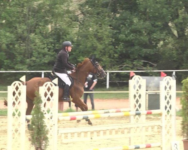 Reitturnier Heiligenwald 2020
