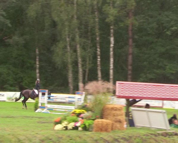 Reitturnier Pasewalk 2020