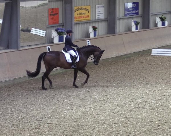 Reitturnier Ahaus 2020
