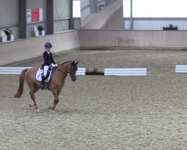 Reitturnier Ahaus 2020