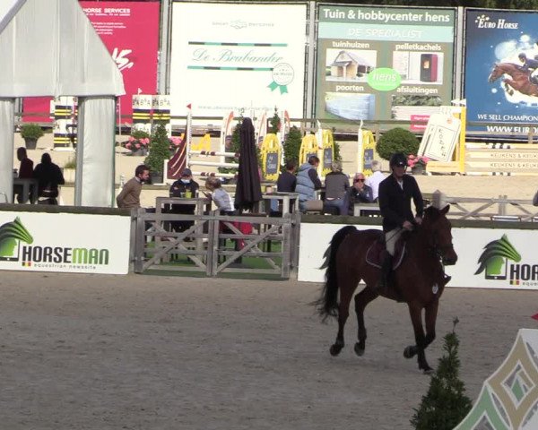 Belgisch Kampioenschap 4-5 Jarigen Paarden