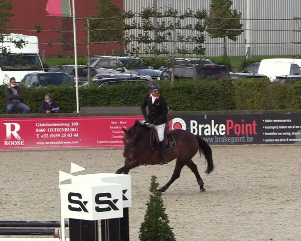 Belgisch Kampioenschap 4-5 Jarigen Paarden