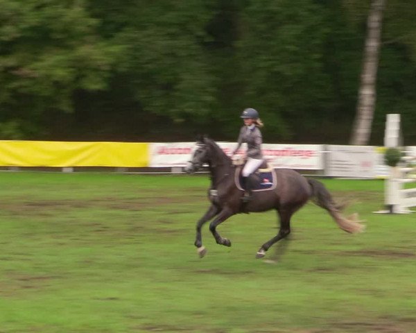 Reitturnier Pasewalk 2020