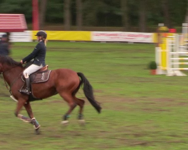 Reitturnier Pasewalk 2020