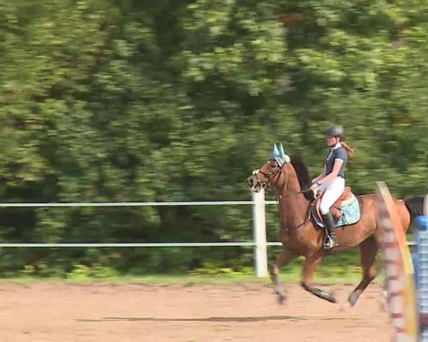 Reitturnier Demantsfürth/Mfr. 2020
