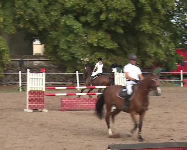 Reitturnier Demantsfürth/Mfr. 2020