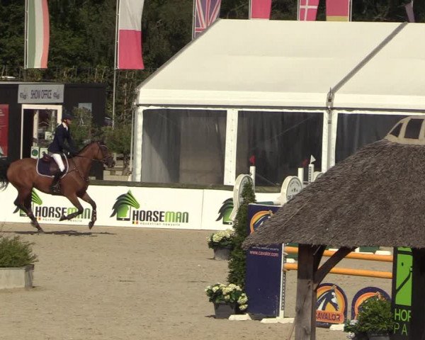 Belgisch Kampioenschap 4-5 Jarigen Paarden