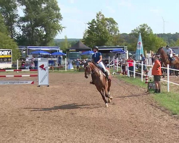 Reitturnier Demantsfürth/Mfr. 2020