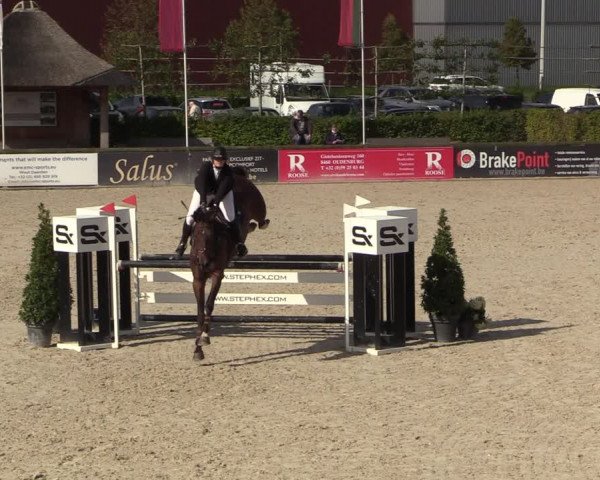 Belgisch Kampioenschap 4-5 Jarigen Paarden