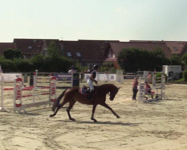 Reitturnier Ascheberg 2021