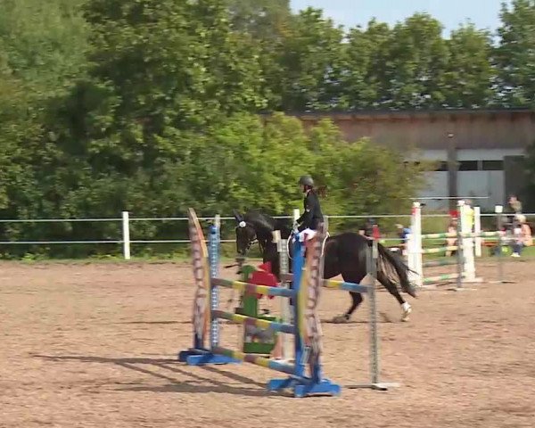 Reitturnier Demantsfürth/Mfr. 2020