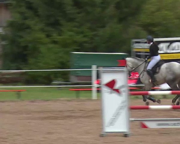 Reitturnier Demantsfürth/Mfr. 2020