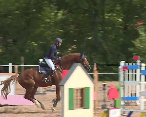 Reitturnier Demantsfürth/Mfr. 2020