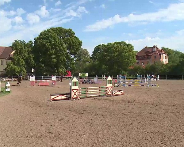 Reitturnier Demantsfürth/Mfr. 2020