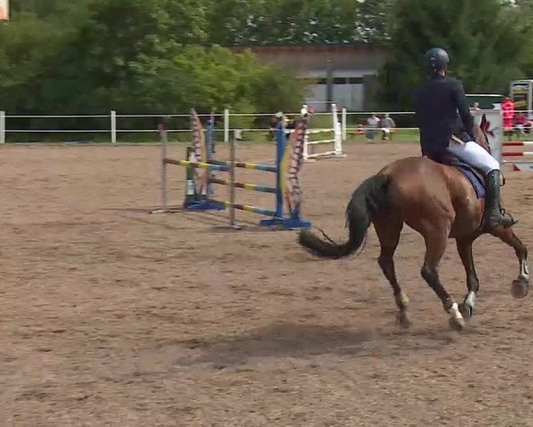 Reitturnier Demantsfürth/Mfr. 2020