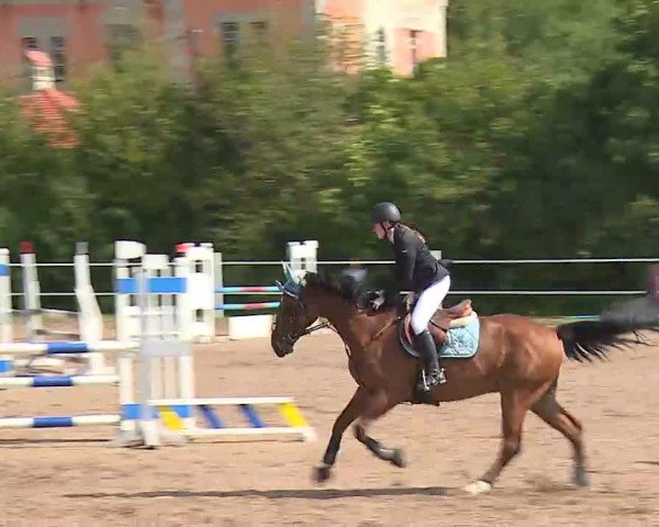 Reitturnier Demantsfürth/Mfr. 2020