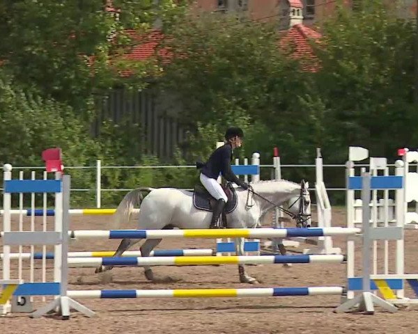 Reitturnier Demantsfürth/Mfr. 2020