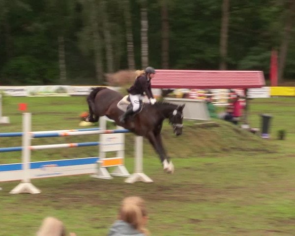 Reitturnier Pasewalk 2020