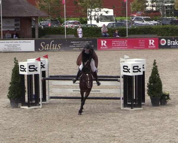Belgisch Kampioenschap 4-5 Jarigen Paarden